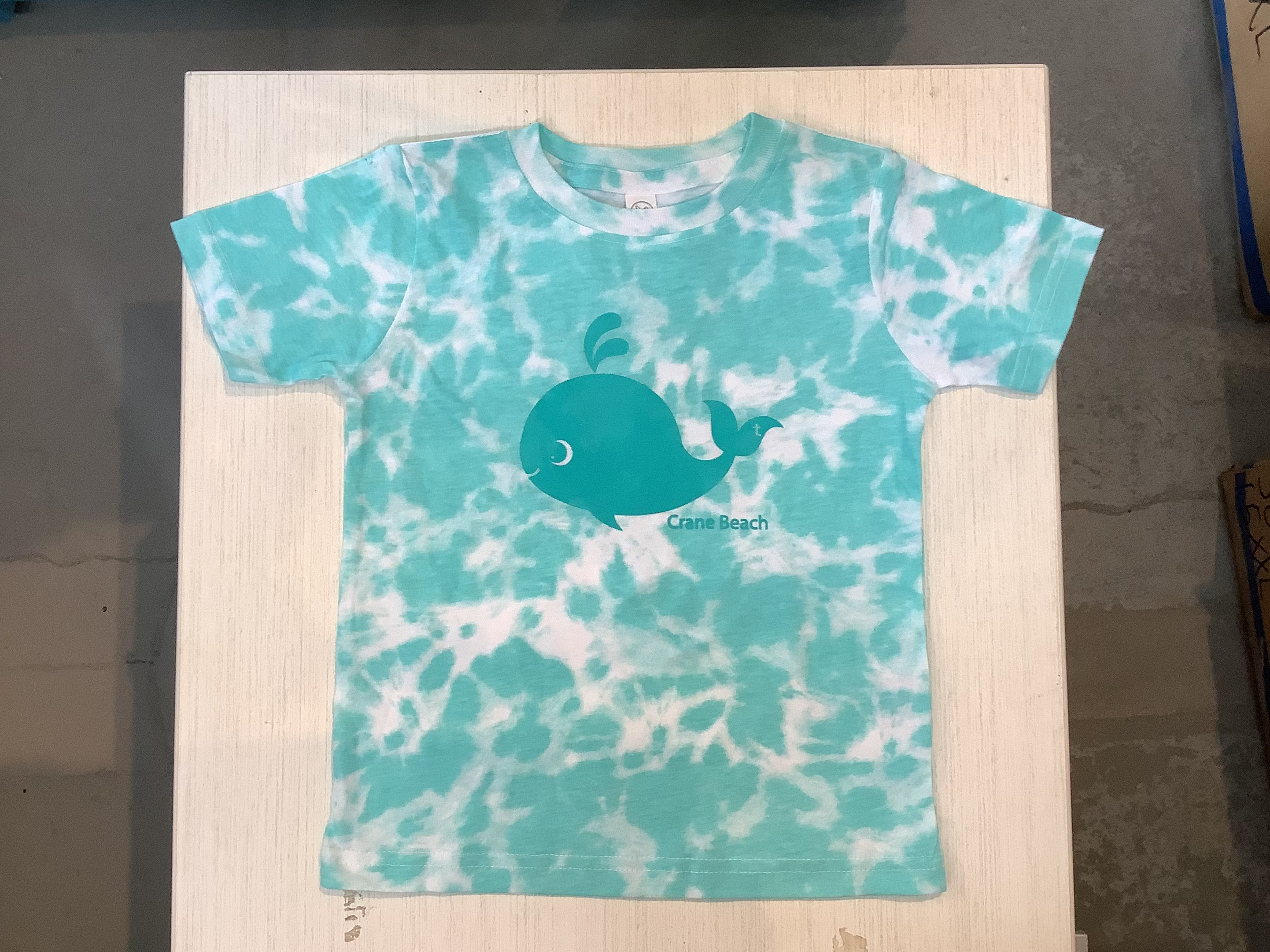 Crane Beach Toddler T-Shirt