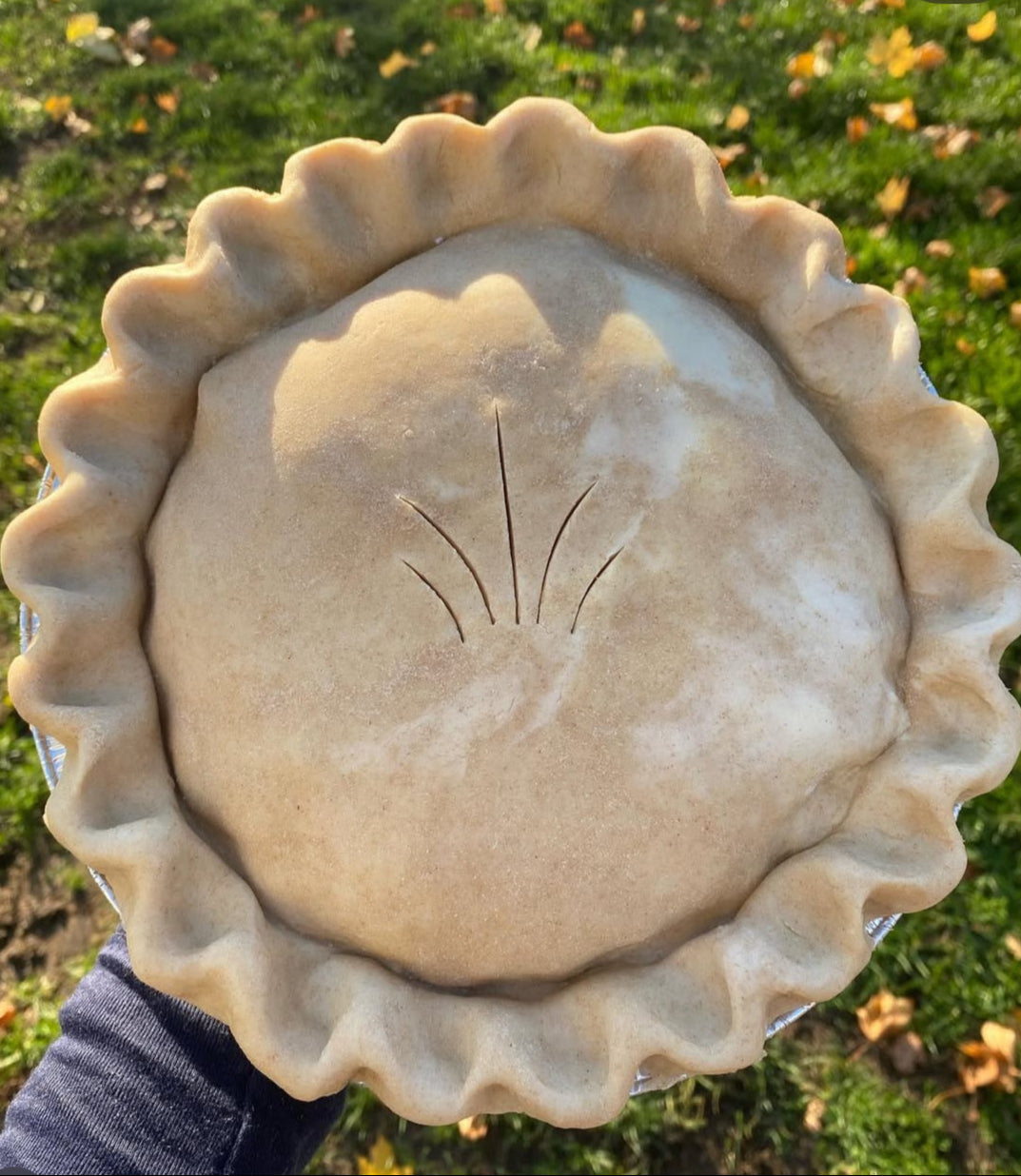Appleton - Thanksgiving Pot Pie