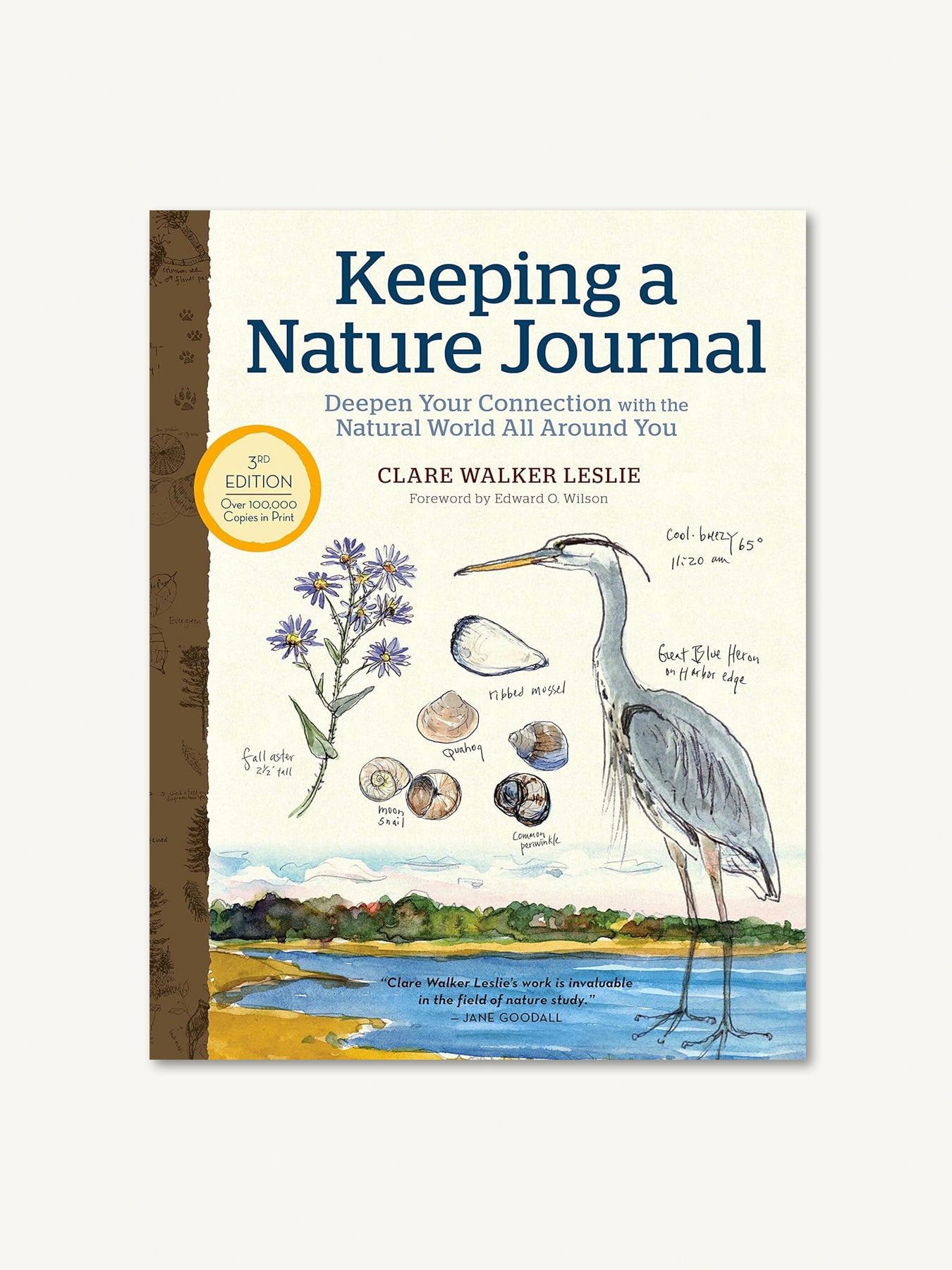 Keeping a Nature Journal – The Trustees