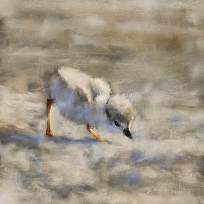 Scanning the Sands