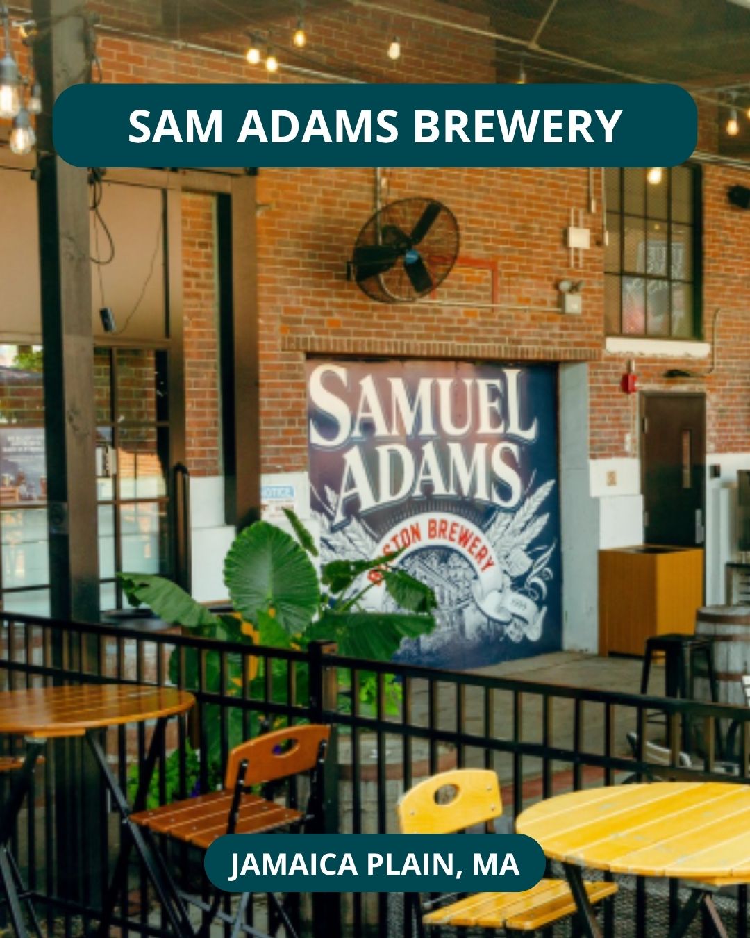 2026 Trustees Summer Vegetable CSA Share - Samuel Adams Boston Brewery