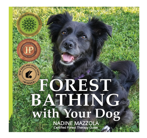 Forest Bathing with your Dog