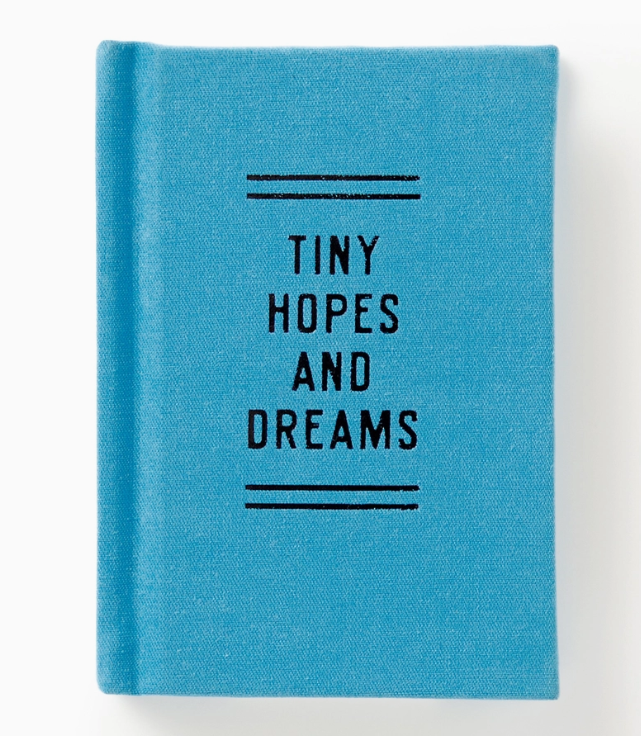 Tiny Hopes and Dreams Diary