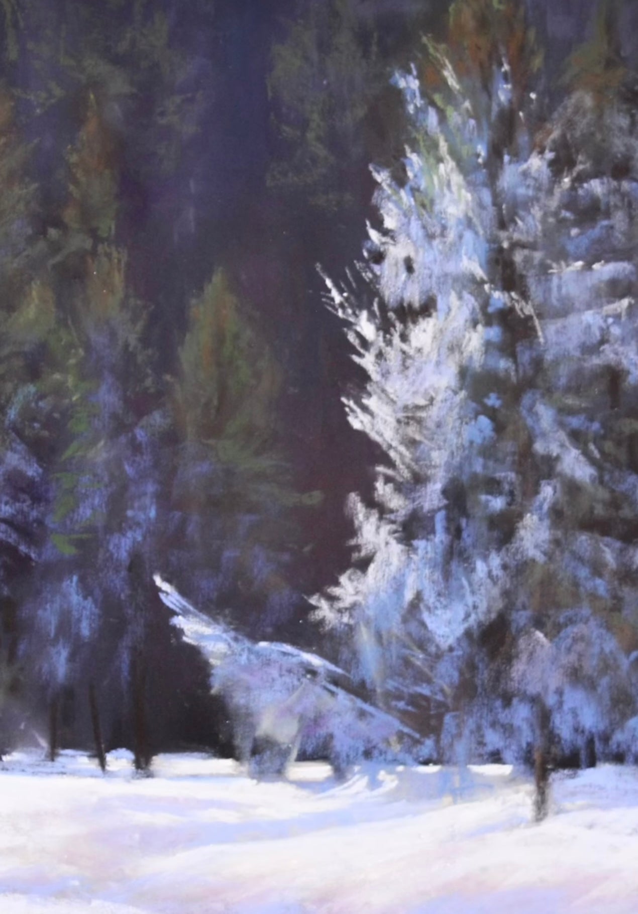 Winter Wonderland