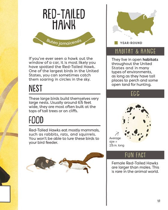 Kid’s Guide To Backyard Birds