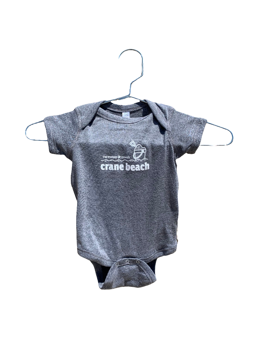 Crane Beach Onesie