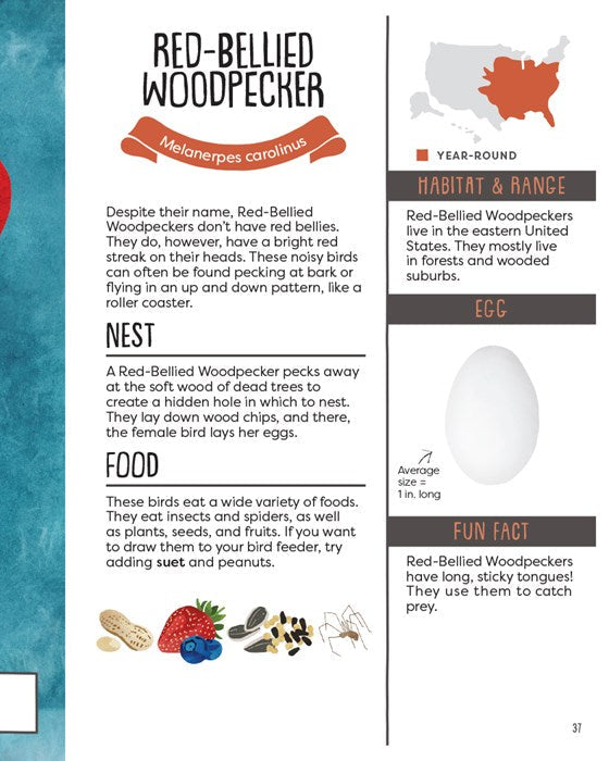 Kid’s Guide To Backyard Birds