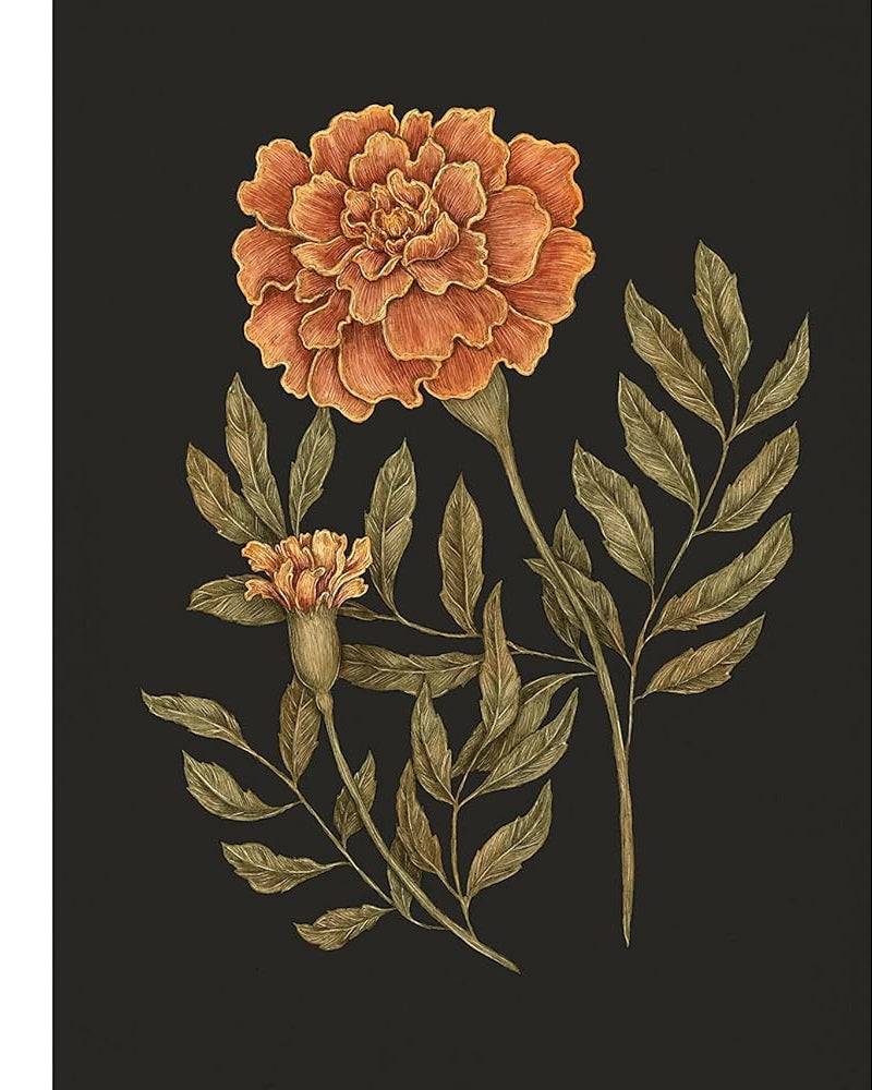 Floriography: An Illustrated Guide to the Victorian Language of Flowers