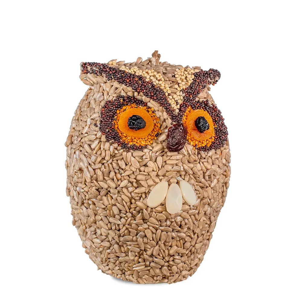 Great Horned Owl Birdseed Feast
