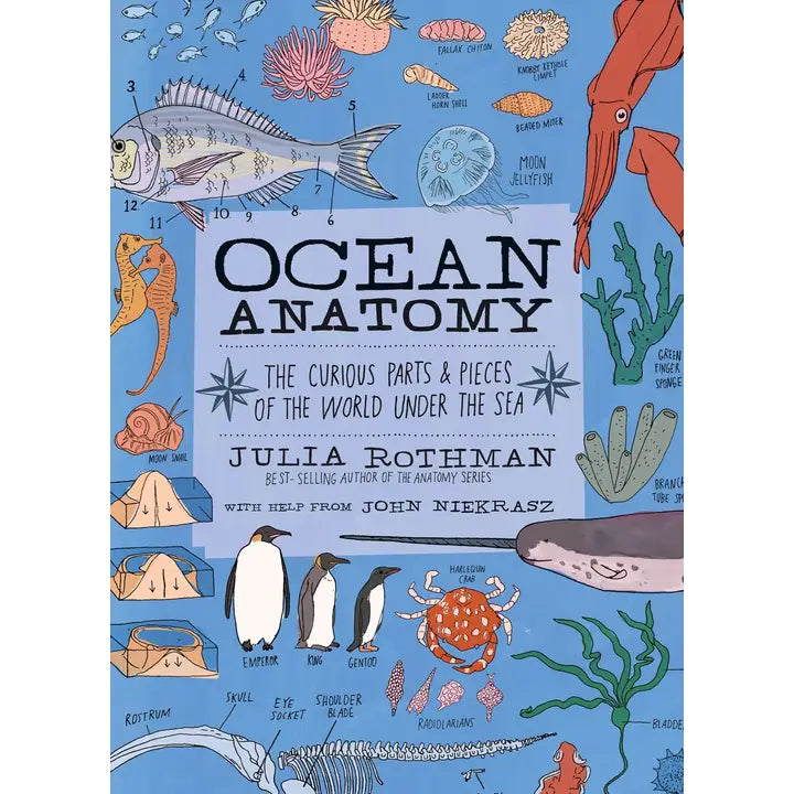 Ocean Anatomy: the Curious Parts & Pieces