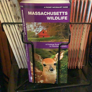 TL- Mass Wildlife Pocket Guide