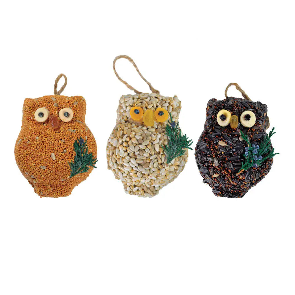 Owl Birdseed Feast