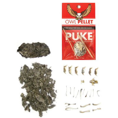 Owl Pellet Puke
