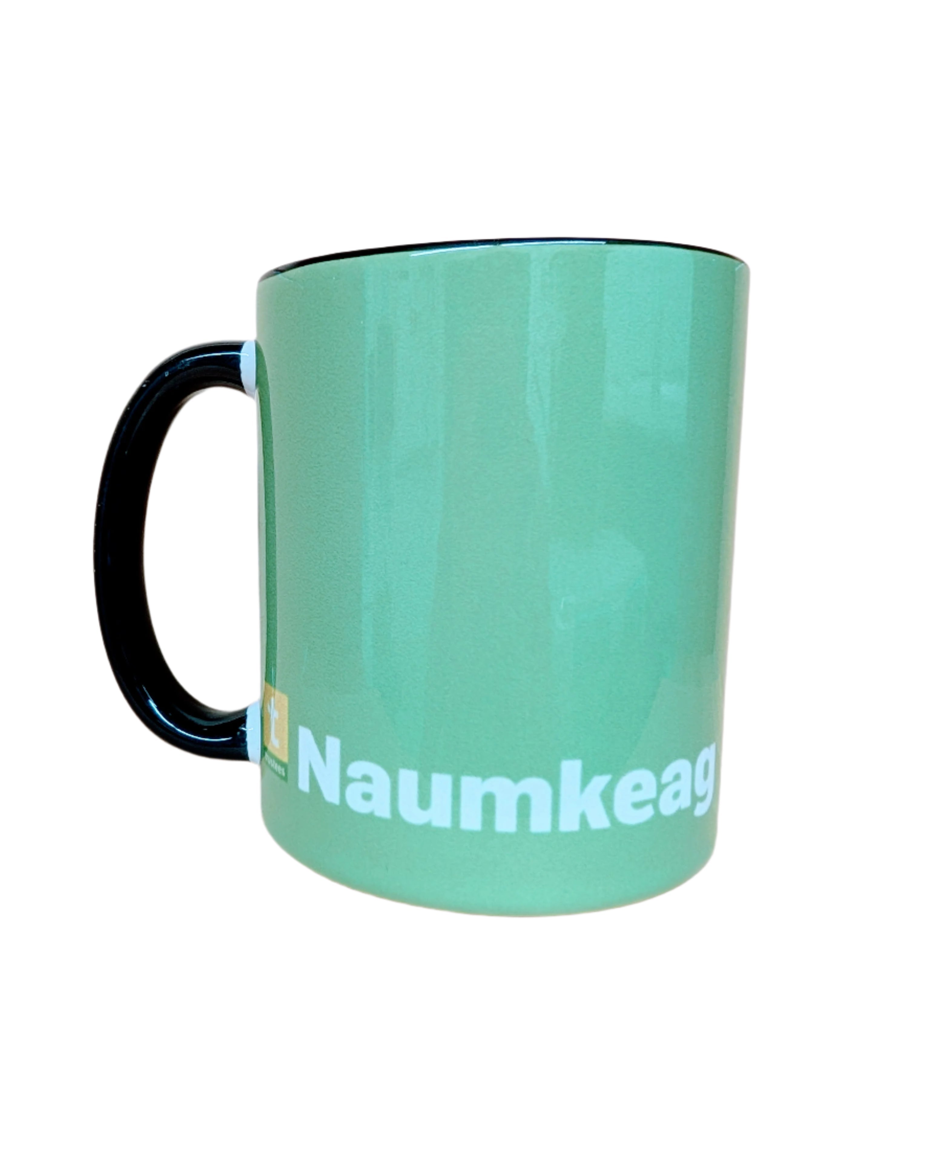 Naumkeag Mug