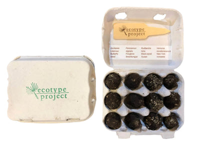 Native Seed Bombs