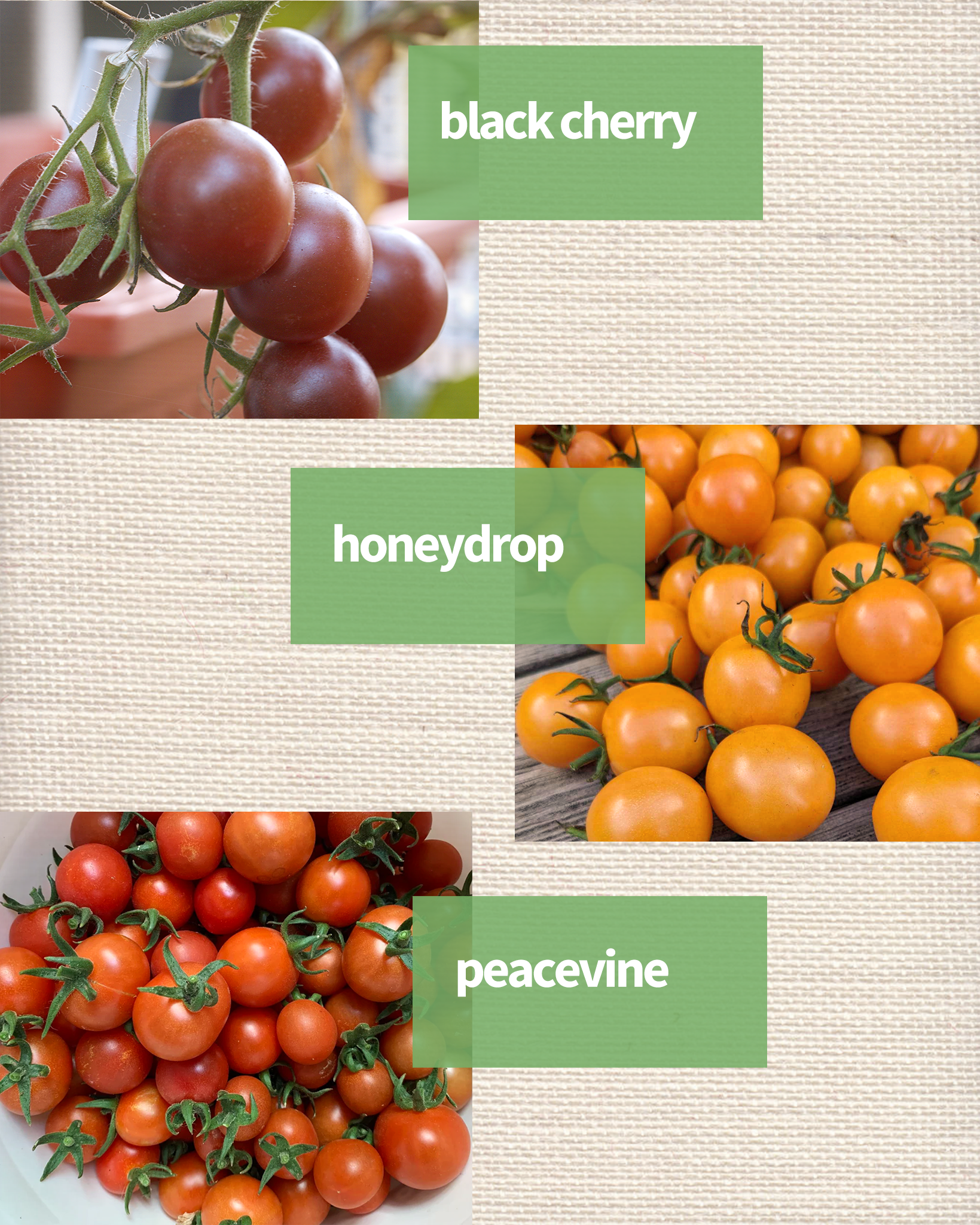 Cherry tomatoes