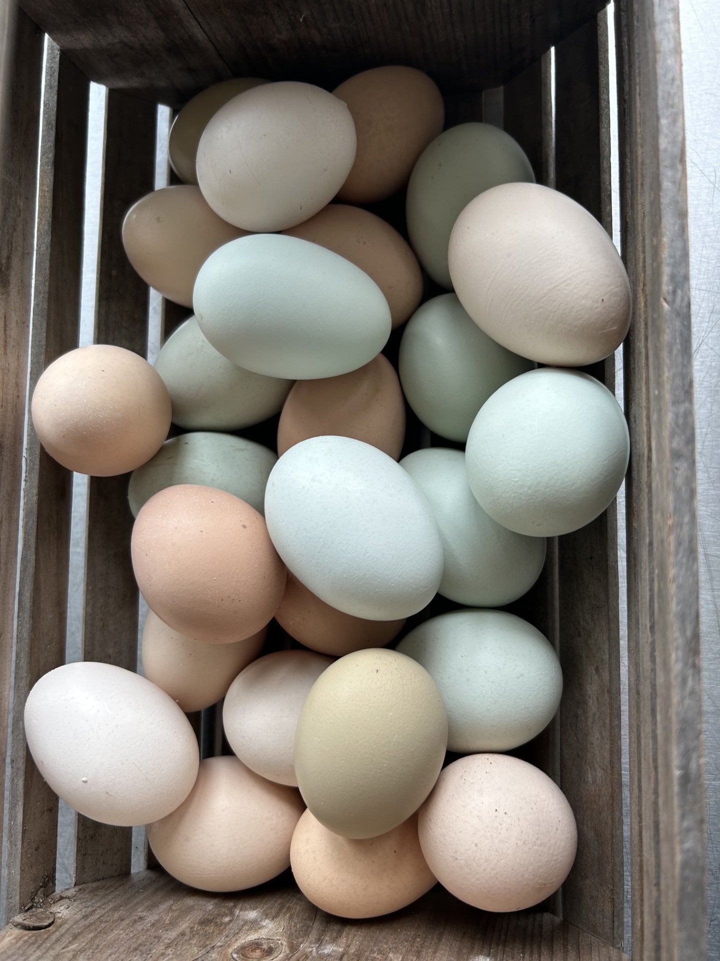 Eggs - The Farm Institute