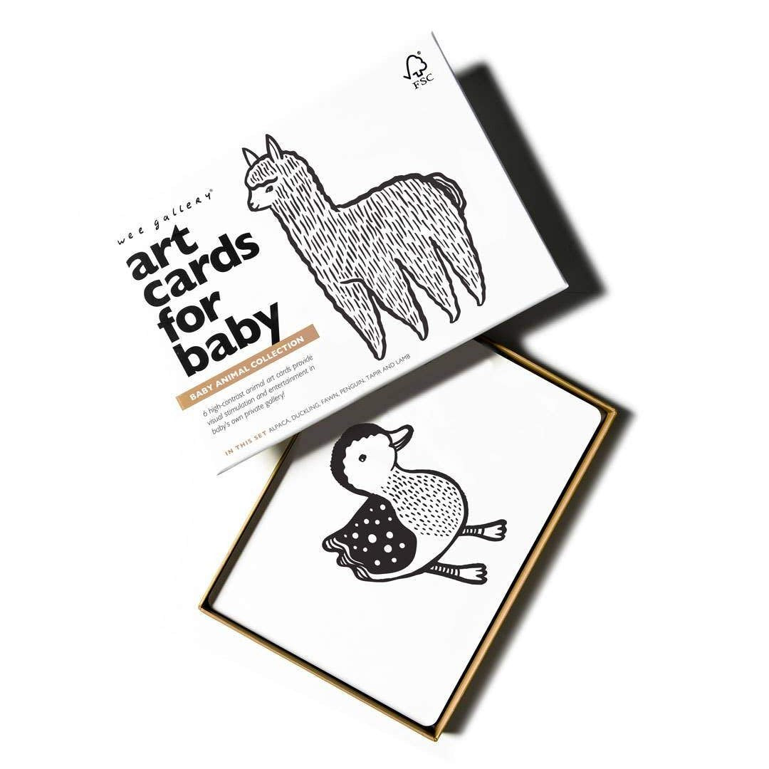 Baby Animal Art Cards