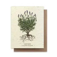 Bower Studio Plantable Seed Cards - Trustees Farm Stores
