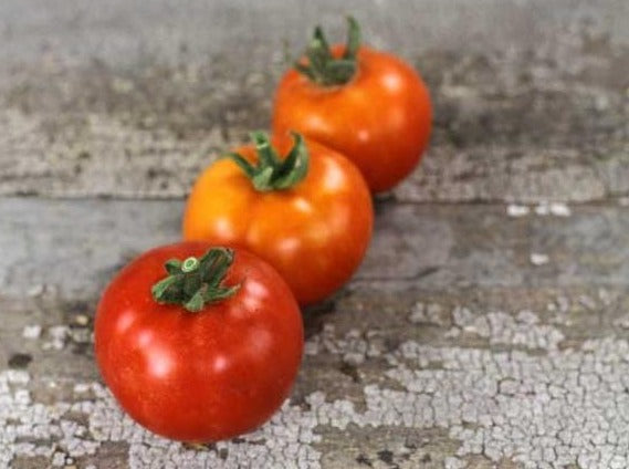 Tomato - Al Kuffa