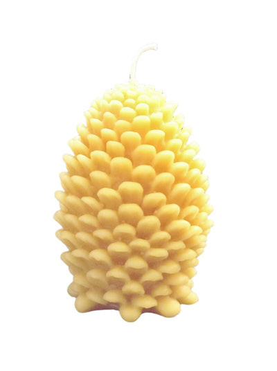 Pine Cone Handmade Beeswax Candles