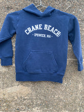 Load image into Gallery viewer, Crane Beach Hooded Sweatshirt, Youth
