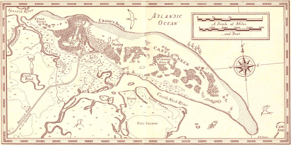 Life in the Shifting Dunes - CH