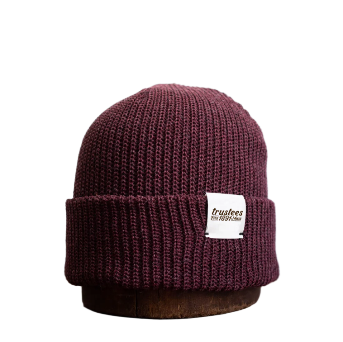 Trustees 1891 Upcycle Wool Beanie