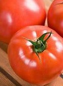 Tomato - Celebrity Hybrid