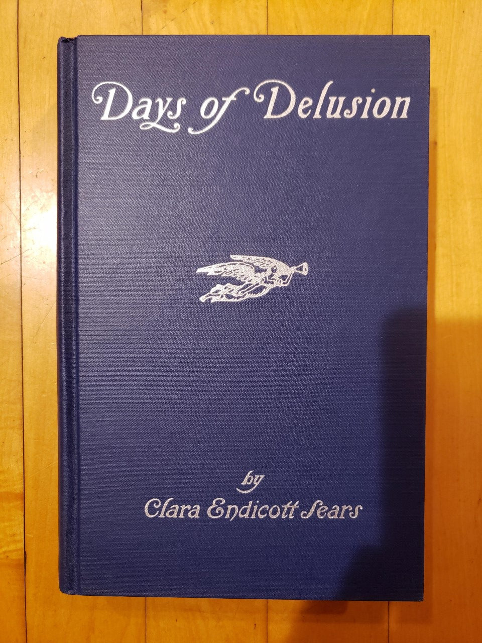 Days of Delusion by Clara Endicott Sears - printed 1924 - Rare book