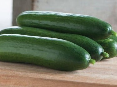 Cucumber - Diva Hybrid