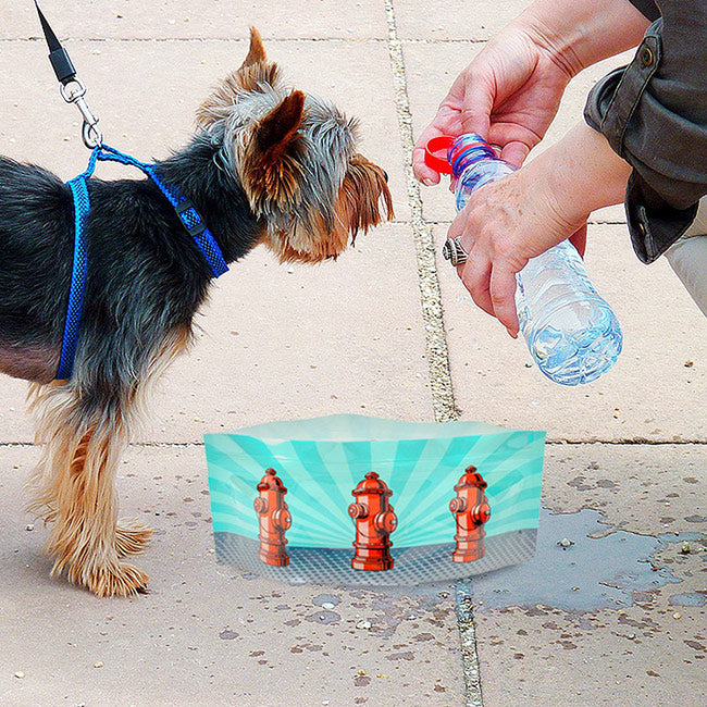 Collapsible Dog Bowl