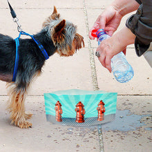 Load image into Gallery viewer, Collapsible Dog Bowl
