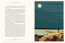 Load image into Gallery viewer, The Great Gatsby - Illustrated Edition

