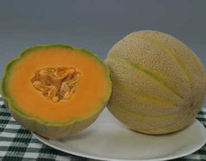 Melon - Halona Musk