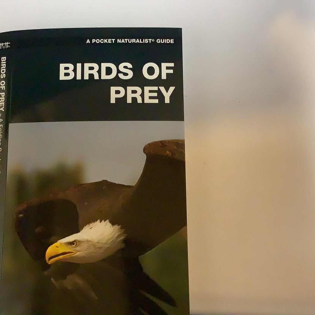 TL- Birds of Prey Pocket Guide