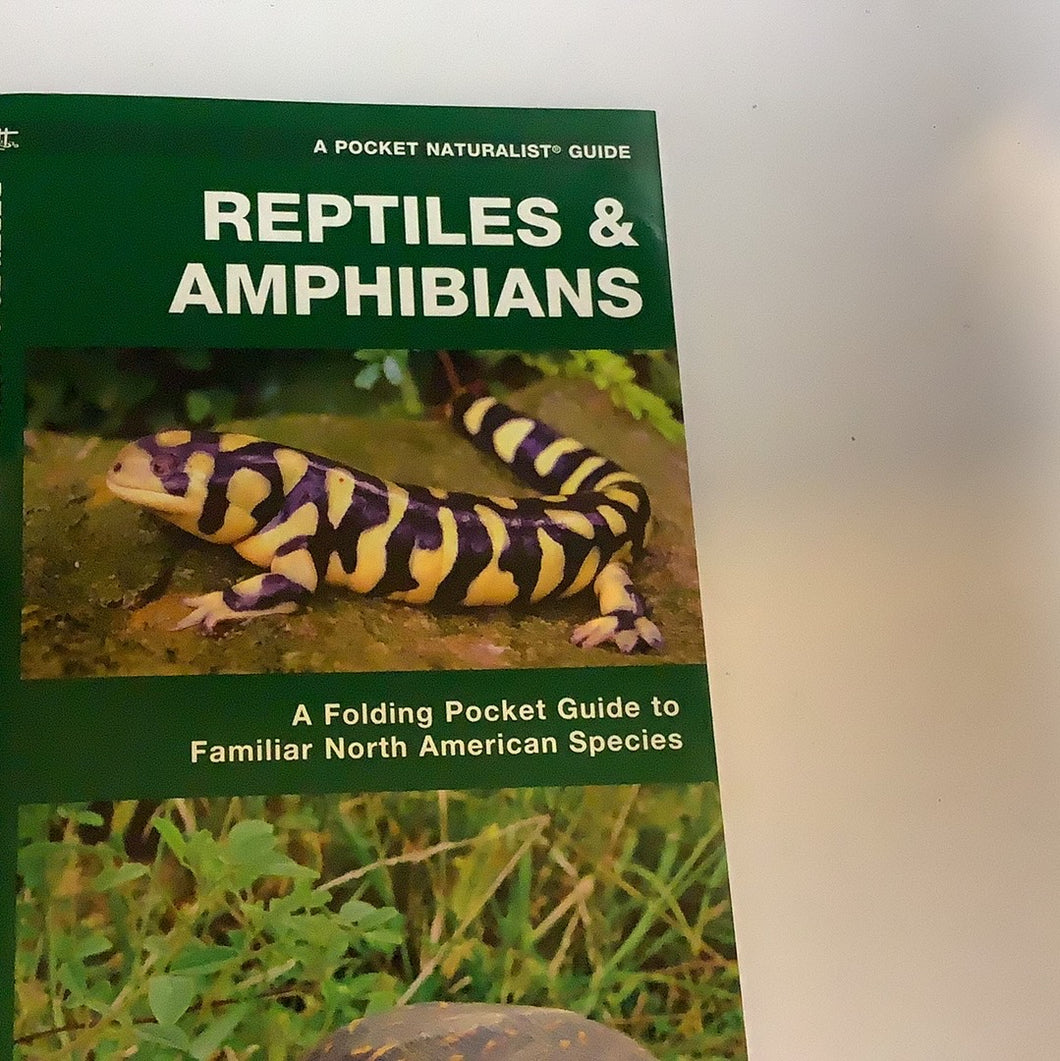 TL- Reptiles and Amphibians Pocket Guide