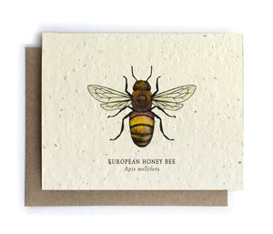 Bower Studio Plantable Seed Cards - Trustees Farm Stores