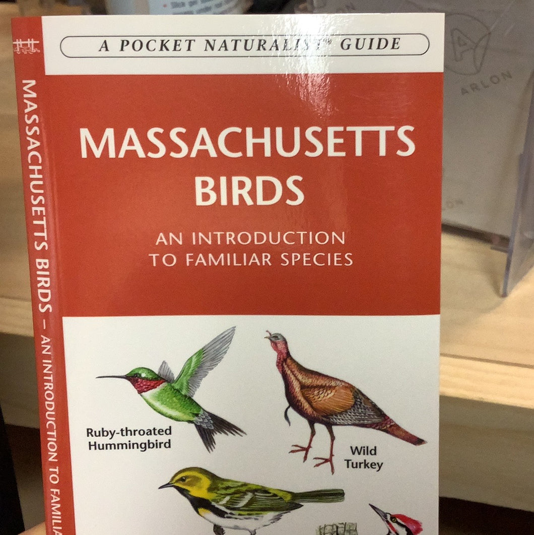 Massachusetts Birds Pocket Guide