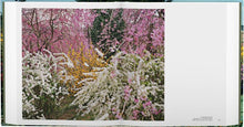 Load image into Gallery viewer, The Photographer in the Garden
