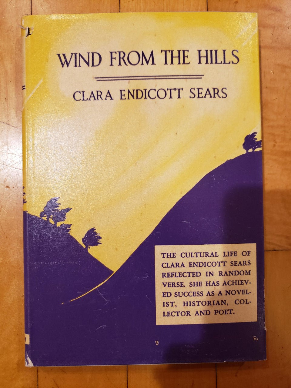 Wind from the hills and other poems by Clara Endicott Sears